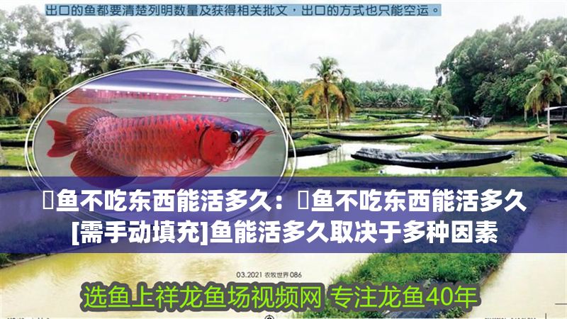 魟魚不吃東西能活多久：魟魚不吃東西能活多久[需手動填充]魚能活多久取決于多種因素
