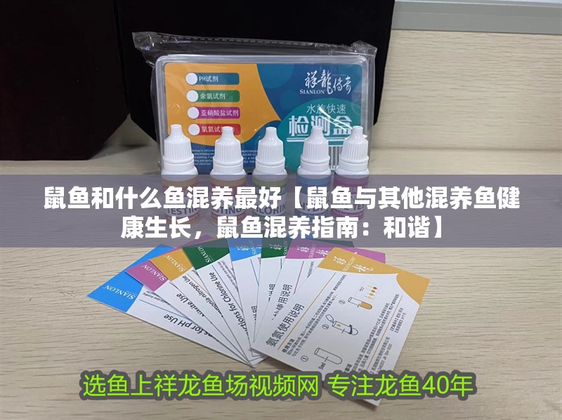 鼠魚和什么魚混養(yǎng)最好【鼠魚與其他混養(yǎng)魚健康生長，鼠魚混養(yǎng)指南：和諧】