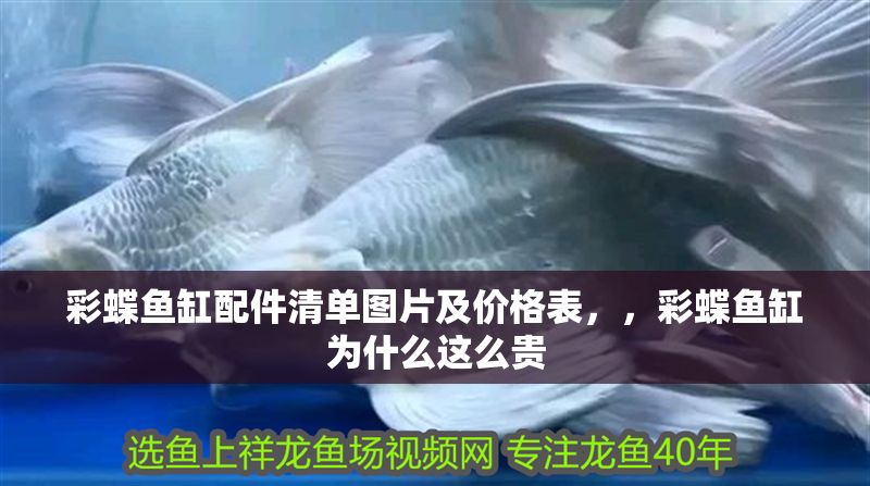彩蝶魚缸配件清單圖片及價(jià)格表，，彩蝶魚缸為什么這么貴