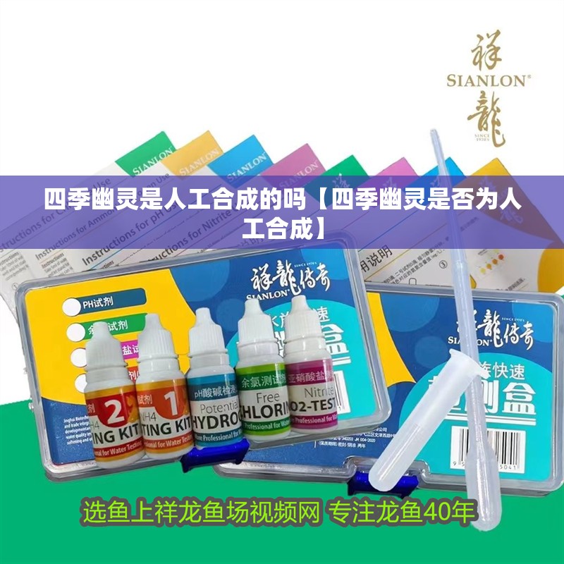 我的虎魚真菌感染了要怎么處理 四季幽靈是人工合成的嗎【四季幽靈是否為人工合成】 龍魚論壇 四季幽靈是人工合成的嗎【四季幽靈是否為人工合成】 四季幽靈是人工合成的嗎【四季幽靈是否為人工合成】 龍魚論壇