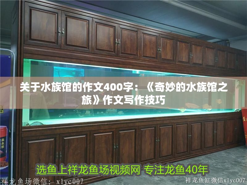 關(guān)于水族館的作文400字：《奇妙的水族館之旅》作文寫作技巧
