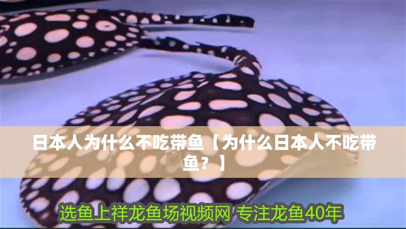 日本人為什么不吃帶魚【為什么日本人不吃帶魚？】