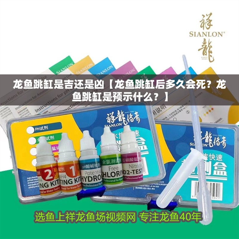 龍魚跳缸是吉還是兇【龍魚跳缸后多久會死？龍魚跳缸是預示什么？】