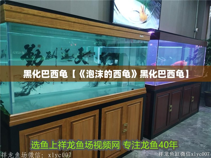 黑化巴西龜【《泡沫的西龜》黑化巴西龜】