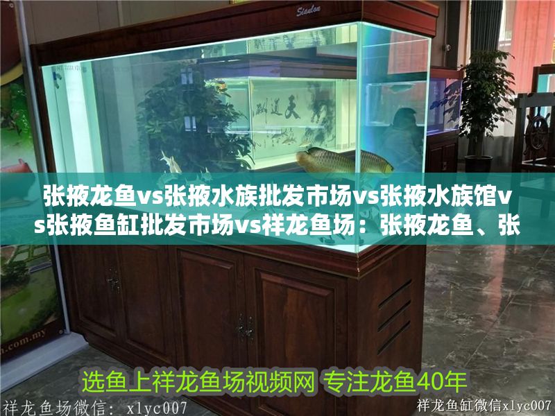 張掖龍魚(yú)vs張掖水族批發(fā)市場(chǎng)vs張掖水族館vs張掖魚(yú)缸批發(fā)市場(chǎng)vs祥龍魚(yú)場(chǎng)：張掖龍魚(yú)、張掖水族市場(chǎng)、祥龍魚(yú)場(chǎng)各自的相關(guān)信息