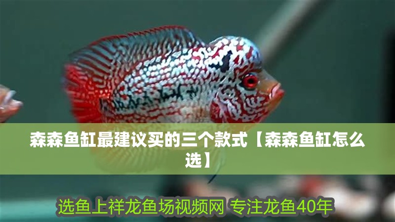 森森魚缸最建議買的三個款式【森森魚缸怎么選】