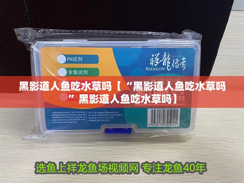 黑影道人魚吃水草嗎【“黑影道人魚吃水草嗎”黑影道人魚吃水草嗎】