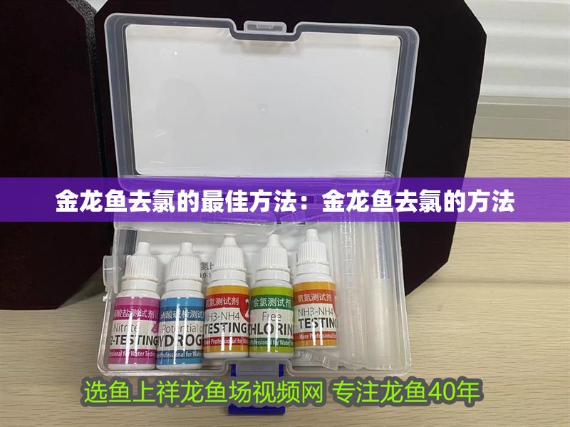 金龍魚去氯的最佳方法：金龍魚去氯的方法