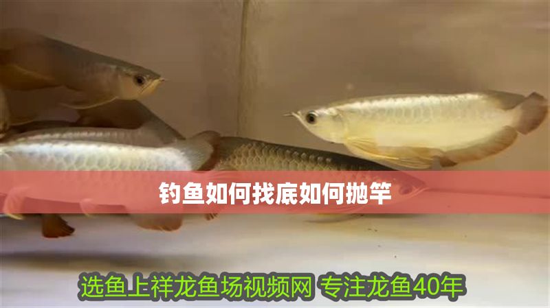 釣魚如何找底如何拋竿