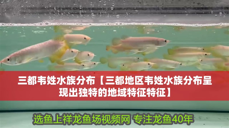 三都韋姓水族分布【三都地區韋姓水族分布呈現出獨特的地域特征特征】 三都韋姓水族分布【三都地區韋姓水族分布呈現出獨特的地域特征特征】 龍魚論壇