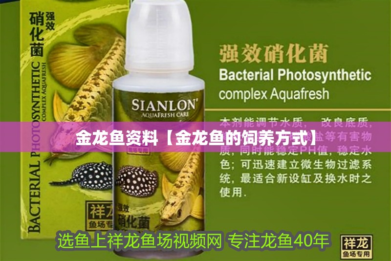 龍魚干蝦有營養(yǎng)嗎 金龍魚資料【金龍魚的飼養(yǎng)方式】 水族問答 金龍魚資料【金龍魚的飼養(yǎng)方式】 金龍魚資料【金龍魚的飼養(yǎng)方式】 水族問答