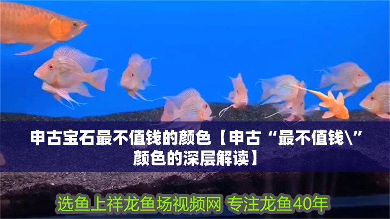 申古寶石最不值錢的顏色【申古“最不值錢\”顏色的深層解讀】