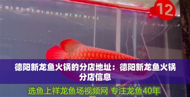 德陽新龍魚火鍋的分店地址：德陽新龍魚火鍋分店信息