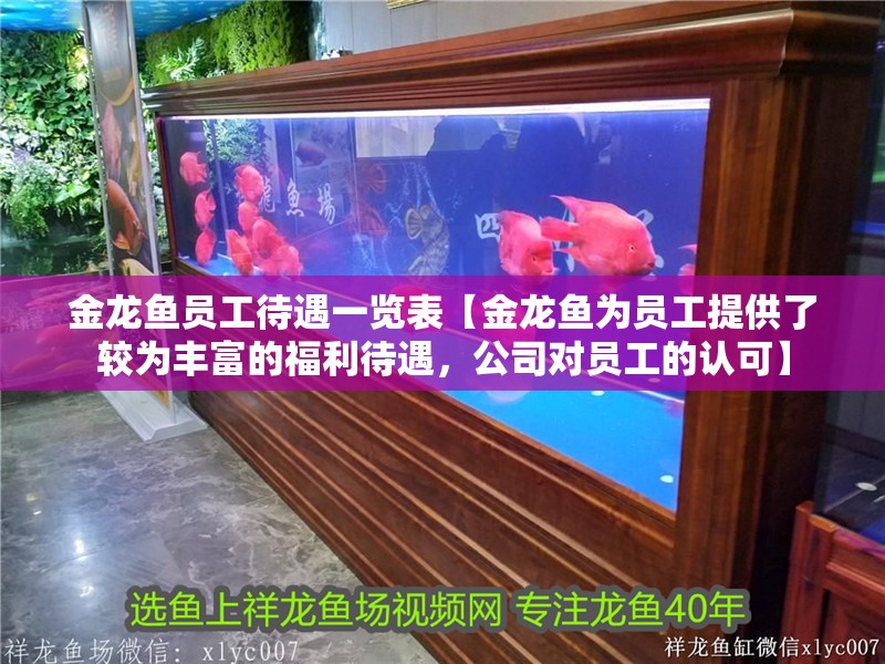 金龍魚員工待遇一覽表【金龍魚為員工提供了較為豐富的福利待遇，公司對員工的認可】