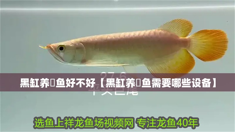 黑缸養魟魚好不好【黑缸養魟魚需要哪些設備】