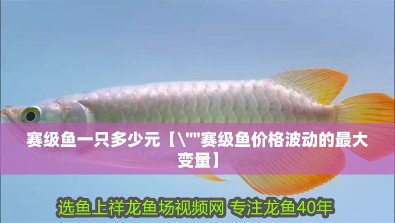 賽級魚一只多少元【\