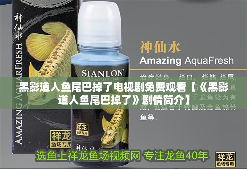 黑影道人魚尾巴掉了電視劇免費觀看【《黑影道人魚尾巴掉了》劇情簡介】