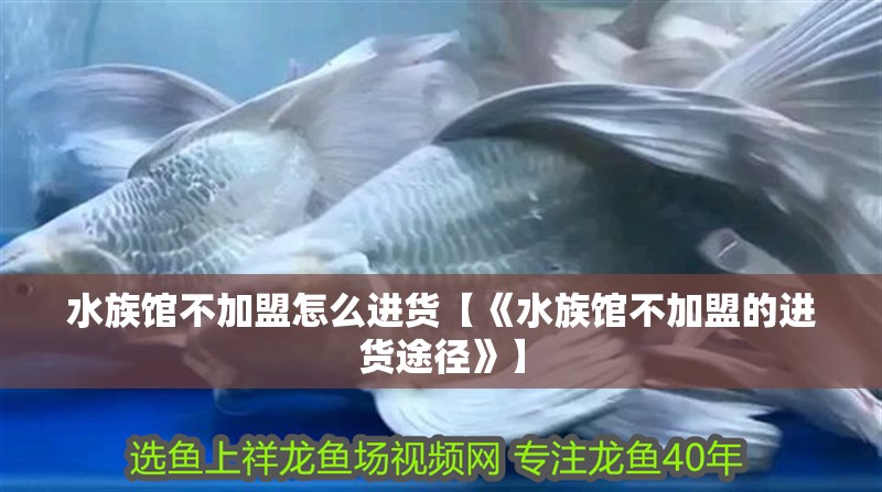 水族館不加盟怎么進貨【《水族館不加盟的進貨途徑》】 水族館不加盟怎么進貨【《水族館不加盟的進貨途徑》】 龍魚論壇