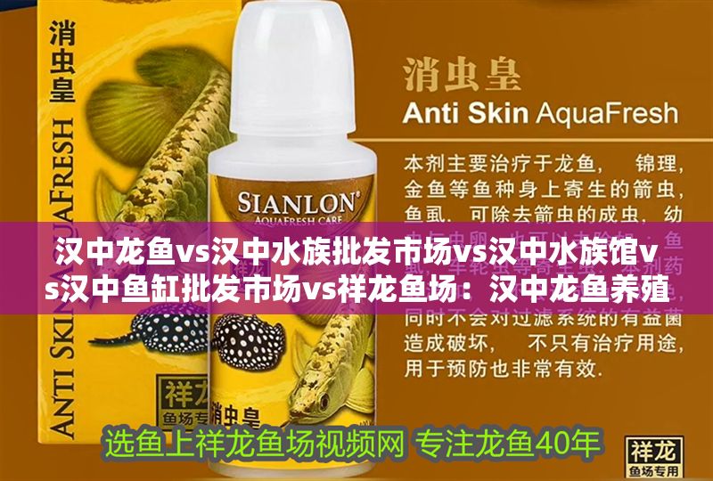 漢中龍魚vs漢中水族批發(fā)市場vs漢中水族館vs漢中魚缸批發(fā)市場vs祥龍魚場：漢中龍魚養(yǎng)殖技術(shù)