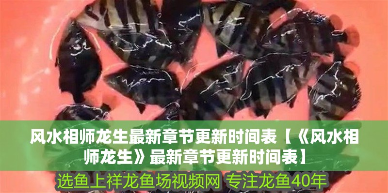 風(fēng)水相師龍生最新章節(jié)更新時(shí)間表【《風(fēng)水相師龍生》最新章節(jié)更新時(shí)間表】