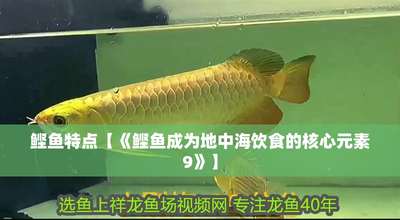 鰹魚(yú)特點(diǎn)【《鰹魚(yú)成為地中海飲食的核心元素9》】