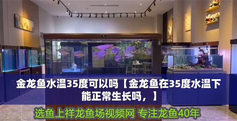 金龍魚水溫35度可以嗎【金龍魚在35度水溫下能正常生長嗎，】