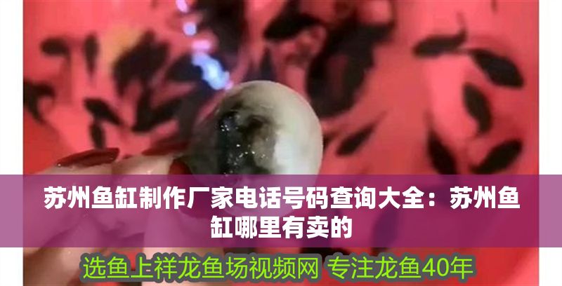 蘇州魚缸制作廠家電話號碼查詢大全：蘇州魚缸哪里有賣的 蘇州魚缸制作廠家電話號碼查詢大全：蘇州魚缸哪里有賣的 豬鼻龜百科 第1張