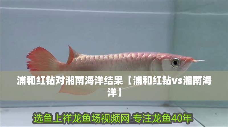 浦和紅鉆對湘南海洋結果【浦和紅鉆vs湘南海洋】