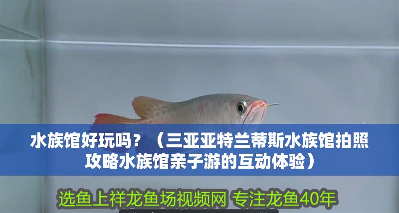 水族館好玩嗎？（三亞亞特蘭蒂斯水族館拍照攻略水族館親子游的互動體驗）