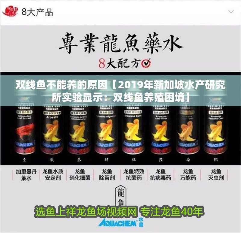 雙線魚不能養的原因【2019年新加坡水產研究所實驗顯示：雙線魚養殖困境】