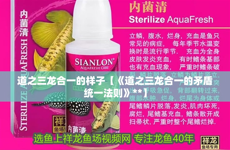 道之三龍合一的樣子【《道之三龍合一的矛盾統一法則》**】 道之三龍合一的樣子【《道之三龍合一的矛盾統一法則》**】 龍魚論壇