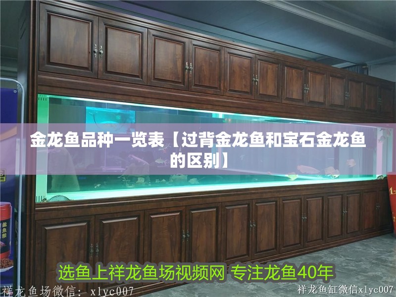 金龍魚品種一覽表【過背金龍魚和寶石金龍魚的區(qū)別】