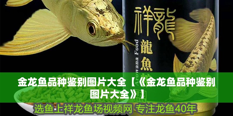 金龍魚品種鑒別圖片大全【《金龍魚品種鑒別圖片大全》】 金龍魚品種鑒別圖片大全【《金龍魚品種鑒別圖片大全》】 水族問答