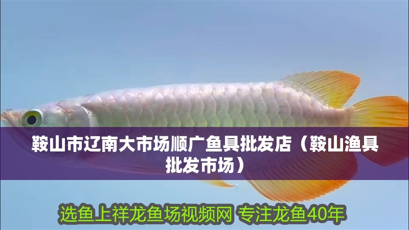 鞍山市遼南大市場順廣魚具批發店（鞍山漁具批發市場）