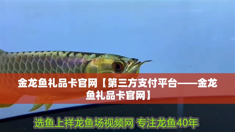 我的虎魚真菌感染了要怎么處理 金龍魚禮品卡官網(wǎng)【第三方支付平臺——金龍魚禮品卡官網(wǎng)】 水族問答 金龍魚禮品卡官網(wǎng)【第三方支付平臺——金龍魚禮品卡官網(wǎng)】 金龍魚禮品卡官網(wǎng)【第三方支付平臺——金龍魚禮品卡官網(wǎng)】 水族問答