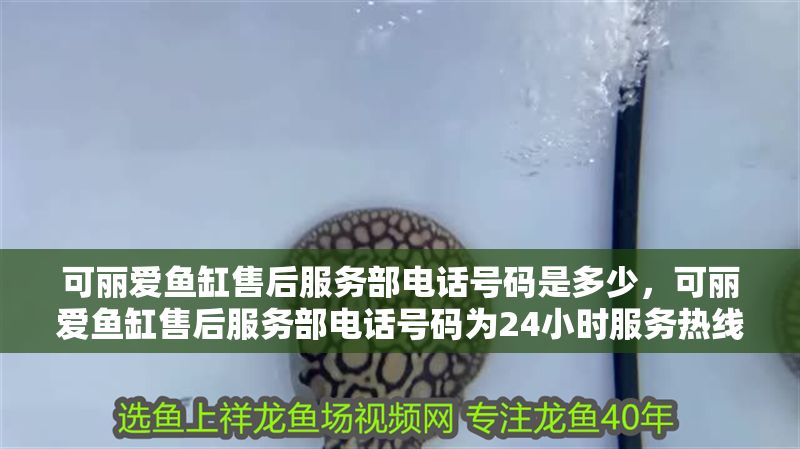 可麗愛魚缸售后服務部電話號碼是多少，可麗愛魚缸售后服務部電話號碼為24小時服務熱線