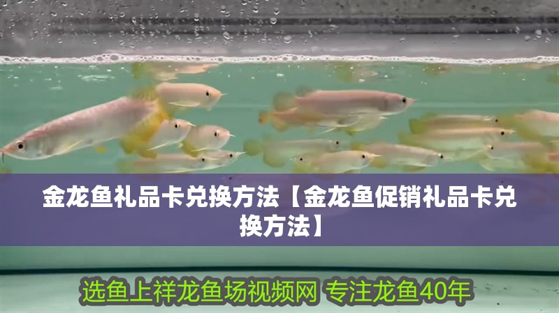 金龍魚禮品卡兌換方法【金龍魚促銷禮品卡兌換方法】