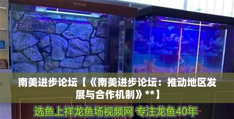 南美進步論壇【《南美進步論壇：推動地區發展與合作機制》**】