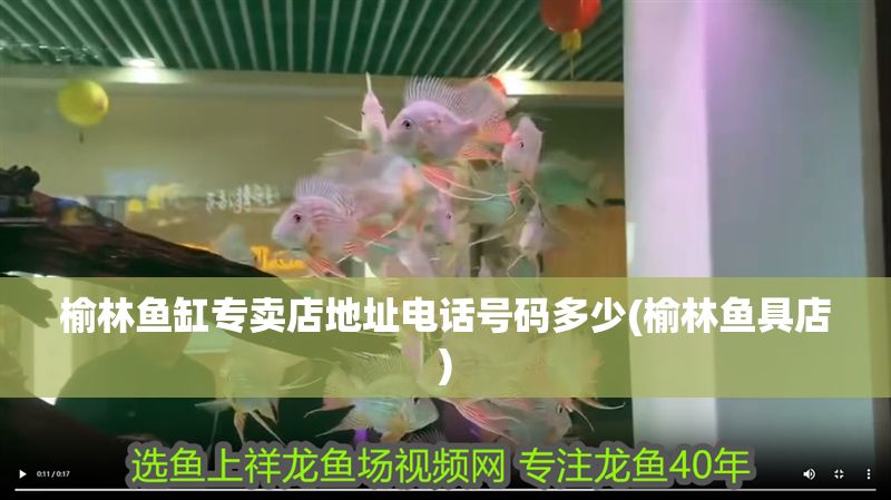 榆林魚缸專賣店地址電話號碼多少(榆林魚具店) 榆林魚缸專賣店地址電話號碼多少(榆林魚具店) 黃金貓魚百科 第1張