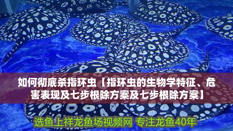 新到家的小虎魚 如何徹底殺指環蟲【指環蟲的生物學特征、危害表現及七步根除方案及七步根除方案】 龍魚論壇 如何徹底殺指環蟲【指環蟲的生物學特征、危害表現及七步根除方案及七步根除方案】 如何徹底殺指環蟲【指環蟲的生物學特征、危害表現及七步根除方案及七步根除方案】 龍魚論壇