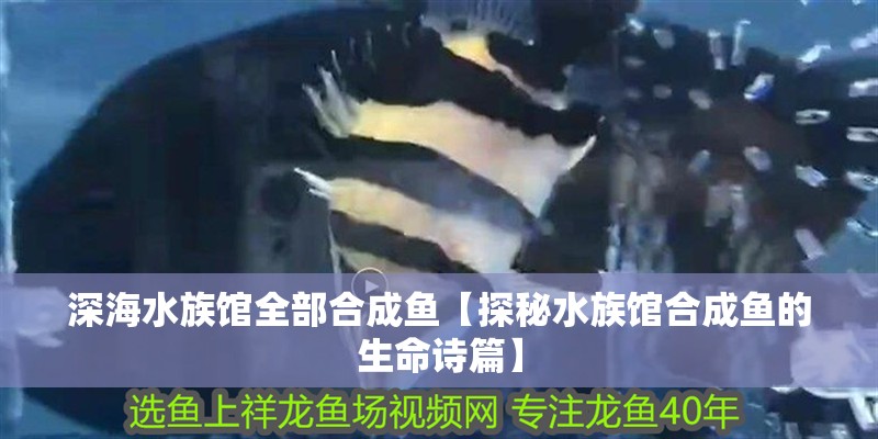 深海水族館全部合成魚【探秘水族館合成魚的生命詩篇】