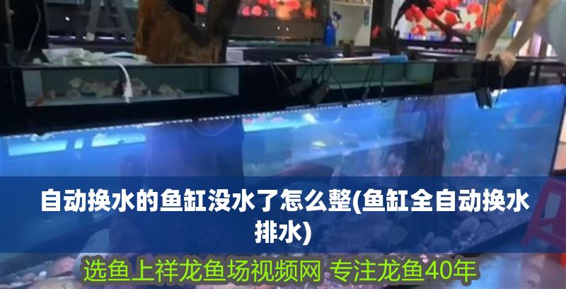 自動換水的魚缸沒水了怎么整(魚缸全自動換水排水)