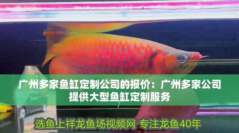 廣州多家魚缸定制公司的報價：廣州多家公司提供大型魚缸定制服務