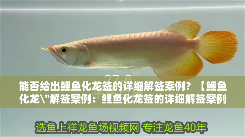 能否給出鯉魚化龍簽的詳細解簽案例？【鯉魚化龍\