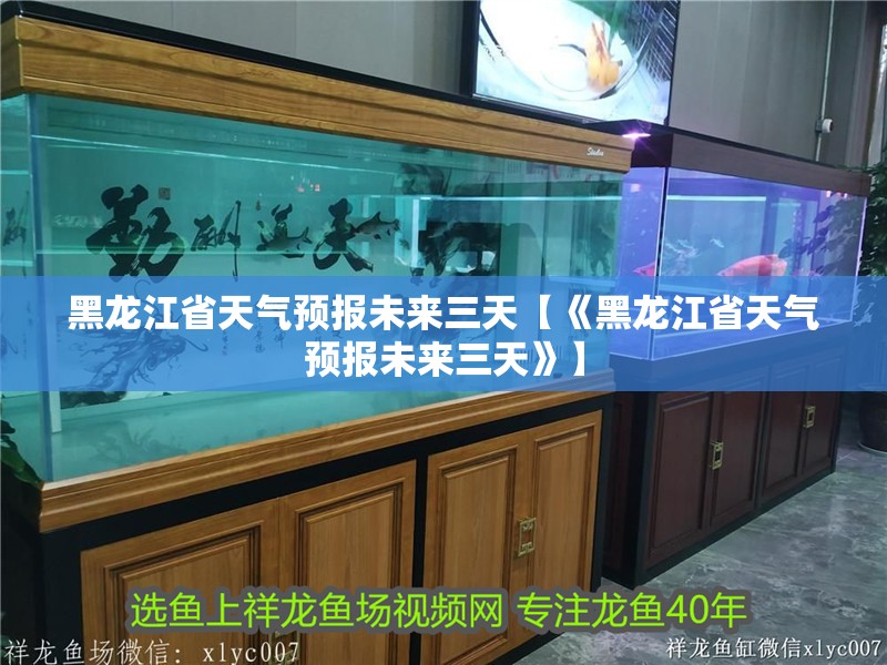 黑龍江省天氣預(yù)報(bào)未來(lái)三天【《黑龍江省天氣預(yù)報(bào)未來(lái)三天》】