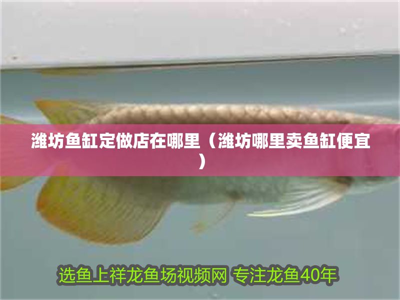 濰坊魚(yú)缸定做店在哪里（濰坊哪里賣魚(yú)缸便宜）