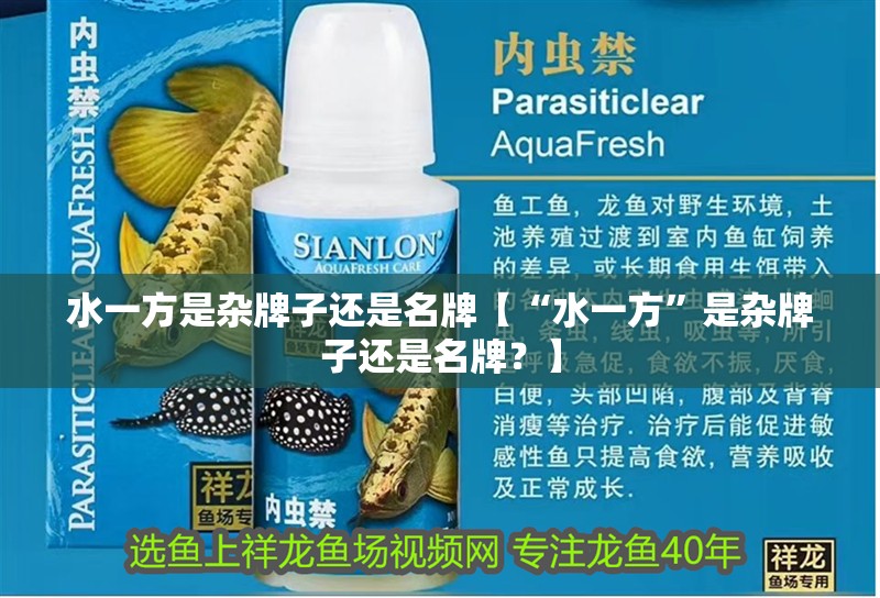 水一方是雜牌子還是名牌【“水一方”是雜牌子還是名牌？】