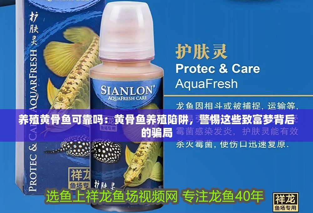 養(yǎng)殖黃骨魚可靠嗎：黃骨魚養(yǎng)殖陷阱，警惕這些致富夢背后的騙局
