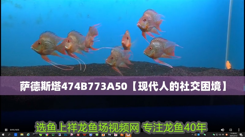 薩德斯塔474B773A50【現代人的社交困境】