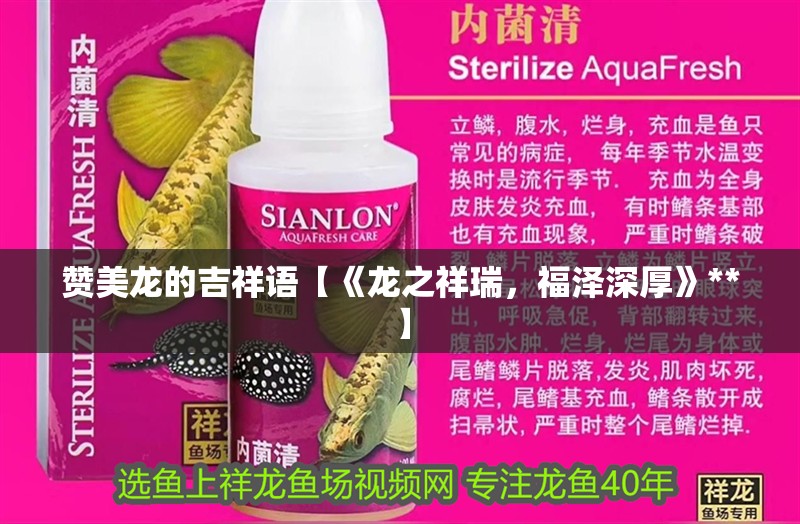 贊美龍的吉祥語【《龍之祥瑞，福澤深厚》**】